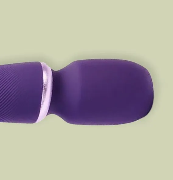 We-Vibe Wand